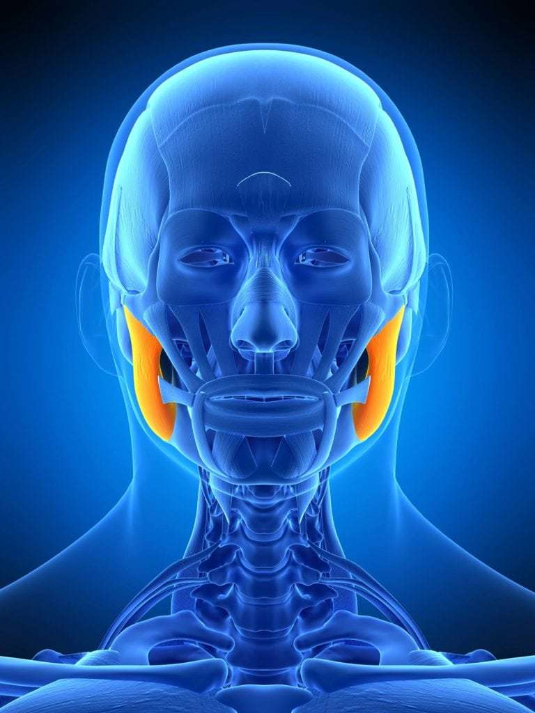 ฉีดโบท็อกในบริเวณกล้ามเนื้อ-Masseter