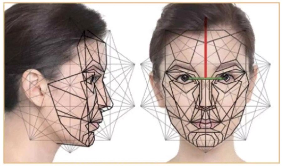 ขนาดของริมฝีปาก-บน-ล่าง